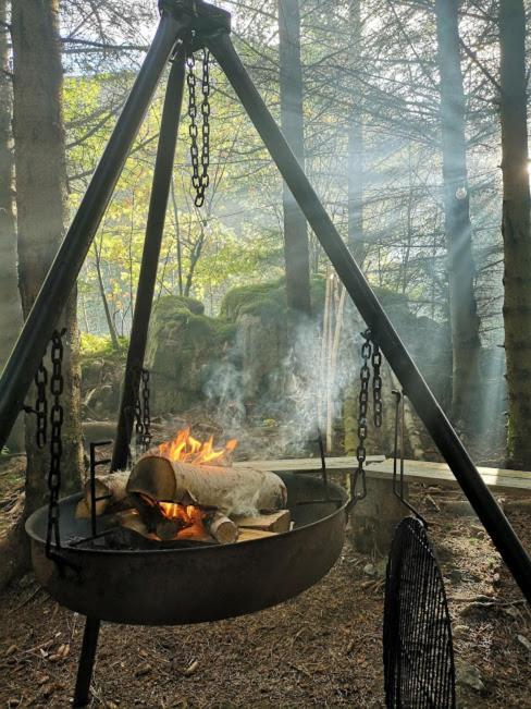 Glamping Lofoten Hotel Kongsjorda Ngoại thất bức ảnh
