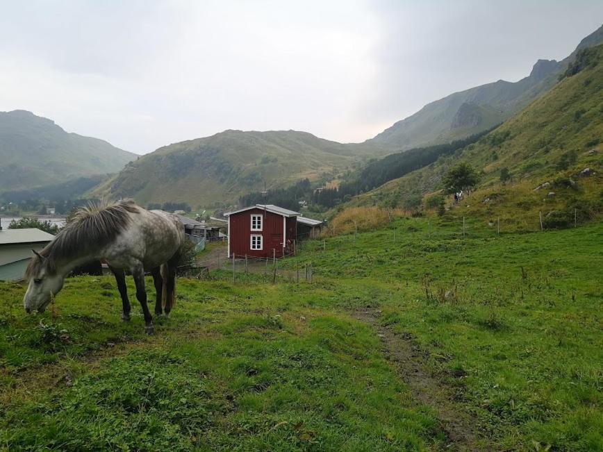 Glamping Lofoten Hotel Kongsjorda Ngoại thất bức ảnh