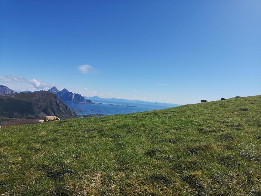 Glamping Lofoten Hotel Kongsjorda Ngoại thất bức ảnh