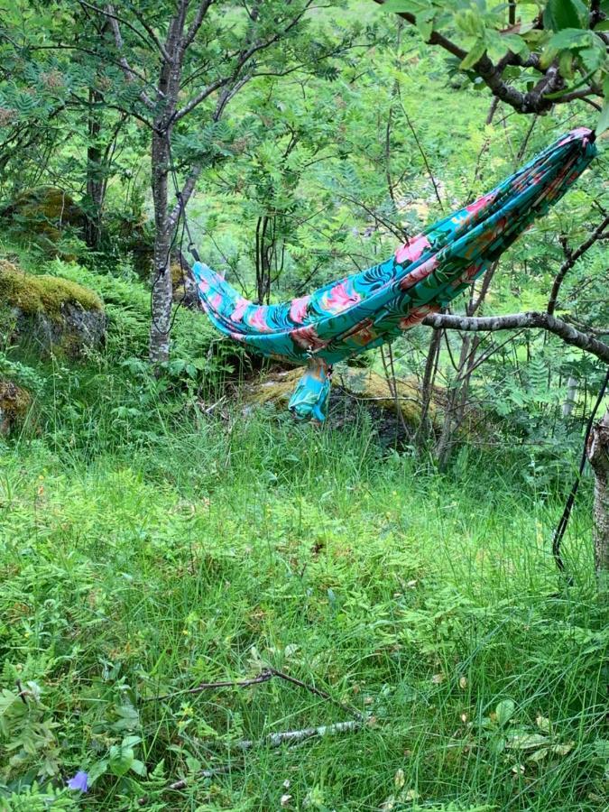 Glamping Lofoten Hotel Kongsjorda Ngoại thất bức ảnh
